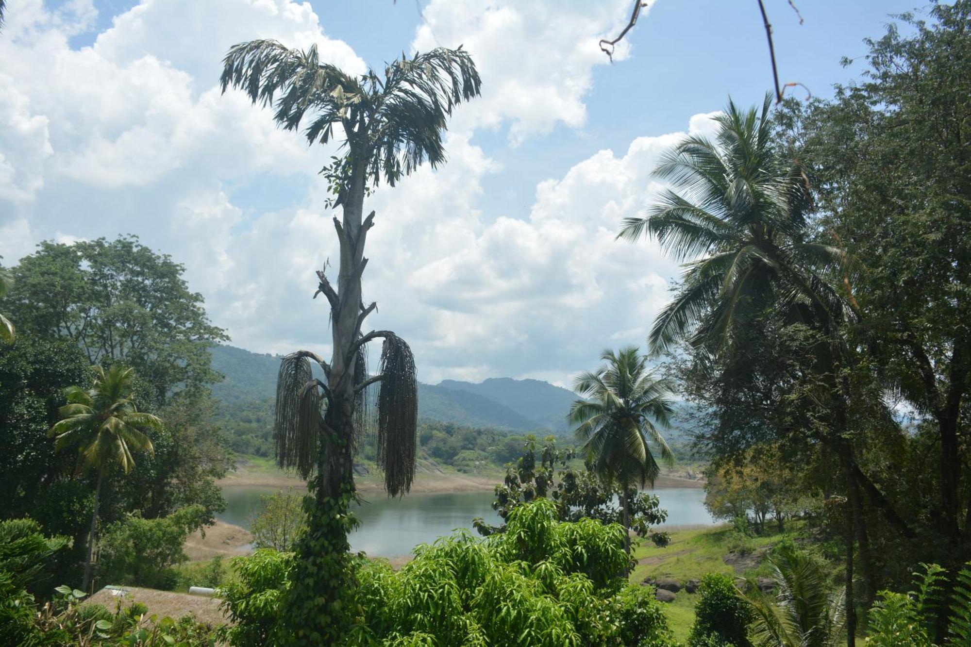 Oruthota Chalets Kandy Exterior foto