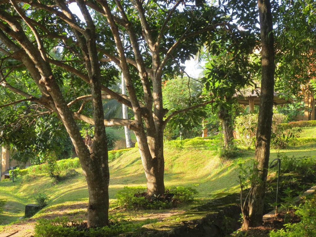 Oruthota Chalets Kandy Exterior foto